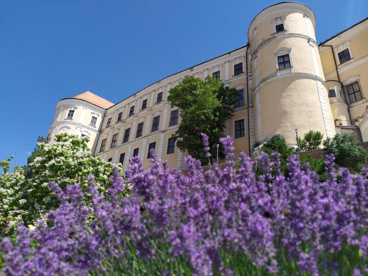 Apartmán Jan Břeclav Exterior foto